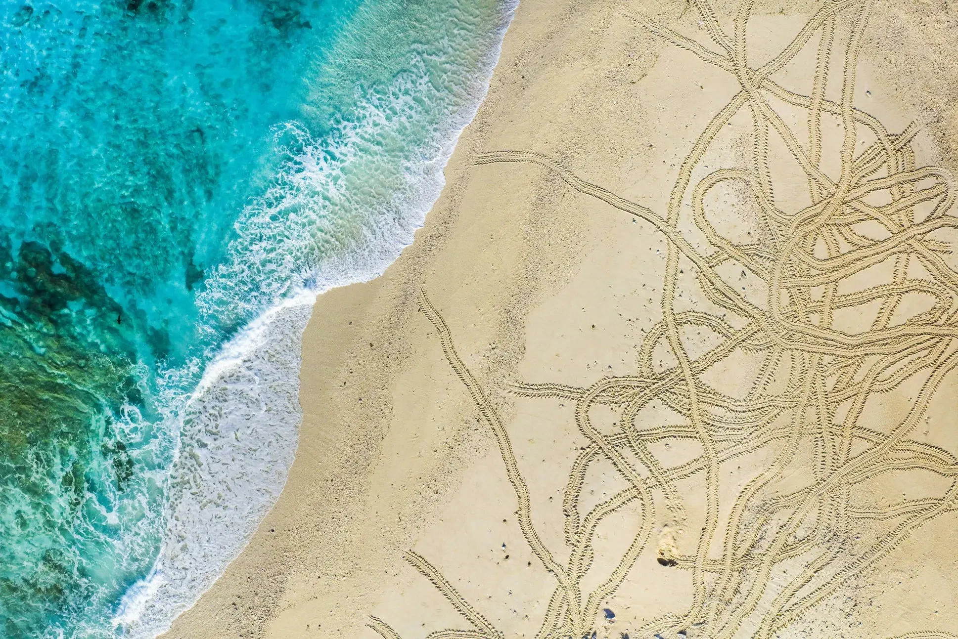 Straight-down aerial photograph showing turtle tracks on a beach